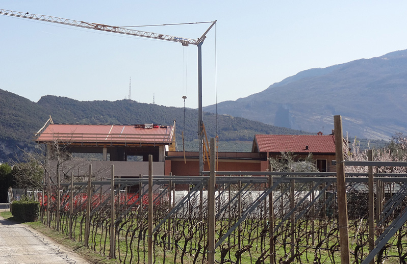 Azienda Agricola Bertoldi